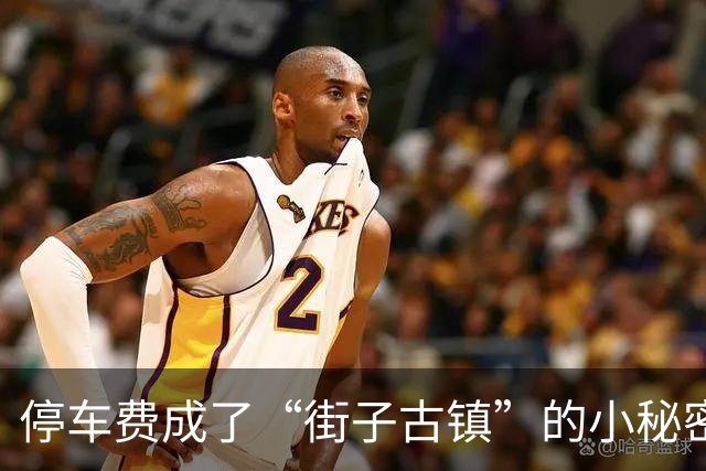 停车费成了“街子古镇”的小秘密，政府出手教育商家
